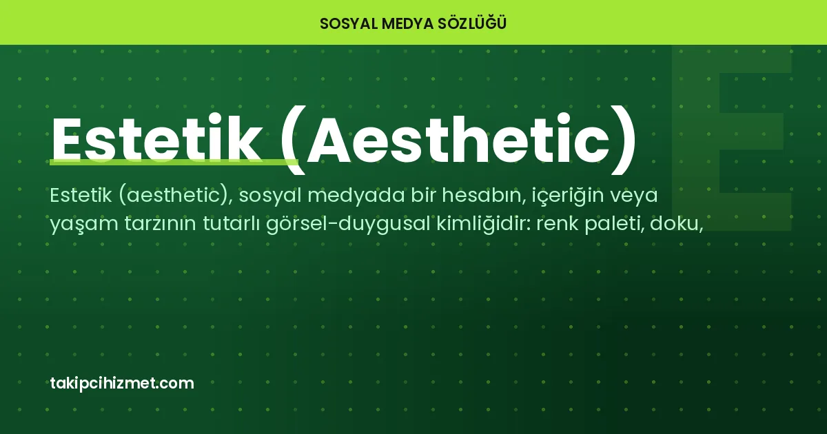 Estetik (Aesthetic) — sosyal medya sözlüğü